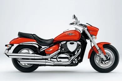 Labels 800 Suzuki Intruder