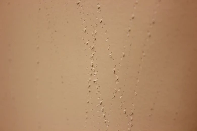 How To Remove Wallpapers Without Chemicals {Even If It's Been ...