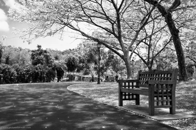 50 Wallpapers And Desktop Backgrounds