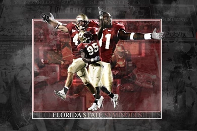 Gallery For   Cool Fsu Pictures