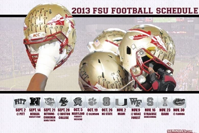 Florida State Bans Facebook, Et Al.