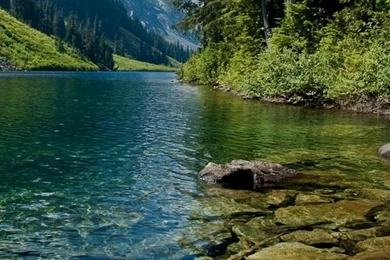 Nature wallpapers for iphone 4.jpg