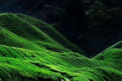 3d Hd Wallpapers For Iphone 4s   Cool Hd Wallpapers For Iphone 4s ...