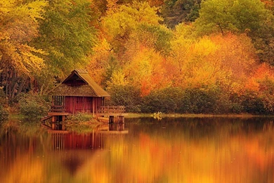 Fall Wallpapers Hd Wallree30.