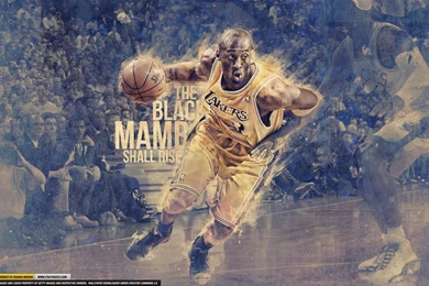 Kobe Bryant “Black Mamba” Wallpapers