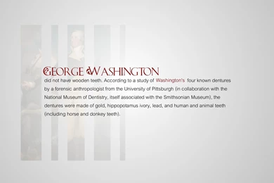 Presidents Of The United States Teeth George Washington