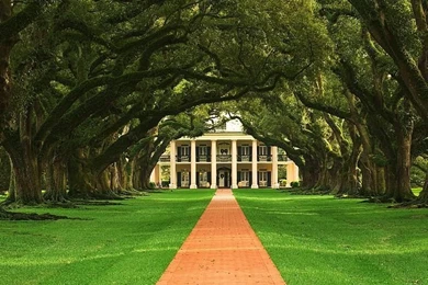 Beautiful Nature Photography Wallpapers 3   Wallcoo.net