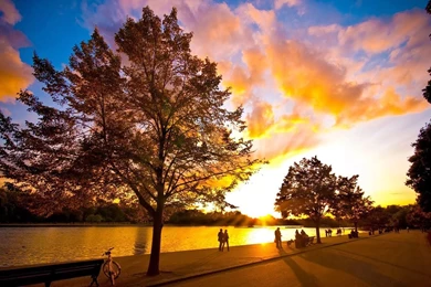 Nature Photography   Best Wallpapers 2014