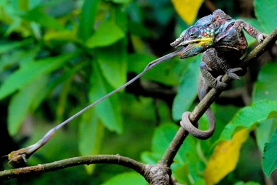 Nature Photography HD Desktop Backgrounds Wallpapers 5142 Amazing ...