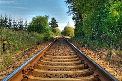 Road Beautiful Nature Cool