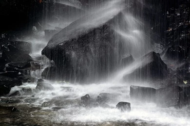 Desktop nature photographer wallpaper.jpg