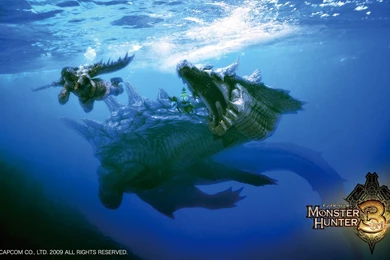 Monster Hunter Wallpapers