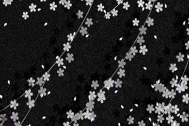 Pictures > Iphone 4 Wallpapers Black And White