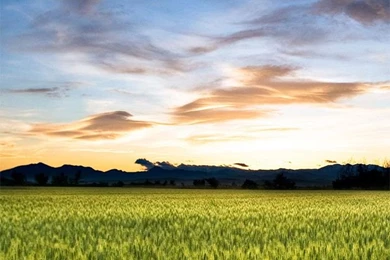 Wallpapers Pack 7 Mobile And Lockscreen Wallpapers HD   PK Helper