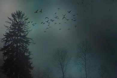 Gallery For   Lock Screen Wallpapers