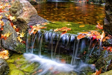 Butchart Gardens Wallpapers   167678