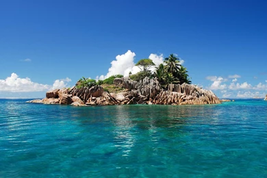 Free Tropical Desktop Backgrounds   Wallpapers Cave