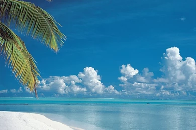 YouWall   Tropical Beach   Cook Islands Wallpapers   Wallpapers ...