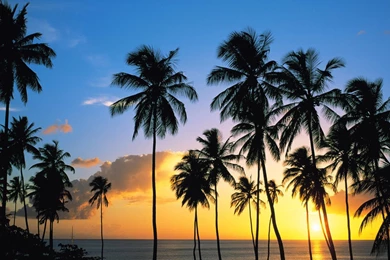 YouWall   Beautiful Tropical Sunset Wallpapers   Wallpapers ...