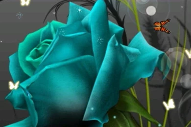 Download Live Wallpapers For Android T9G   MYWALLPAPERWORLD.COM