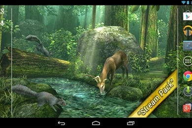 Forest HD Live Wallpapers Free Download   ANDROID GAME APP STORE