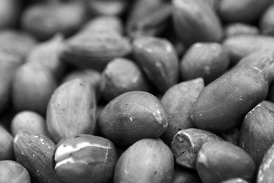 HD Wallpapers Source   Page 411 Of 489   100% Quality HD Desktop ...