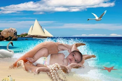 Seashell Unique Backgrounds