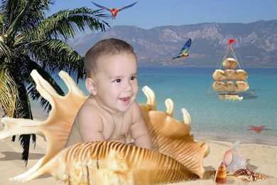 Seashell Unique Backgrounds