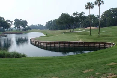 TPC Sawgrass Agronomy: June 2011
