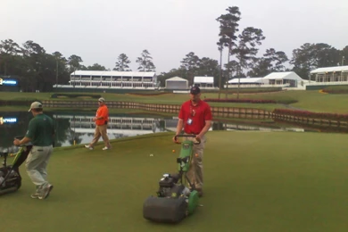 RiverCrest Golf Club Grounds: TPC Sawgrass Volunteer 2013
