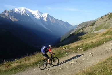 TRUE MOUNTAIN BIKER WALLPAPER   (