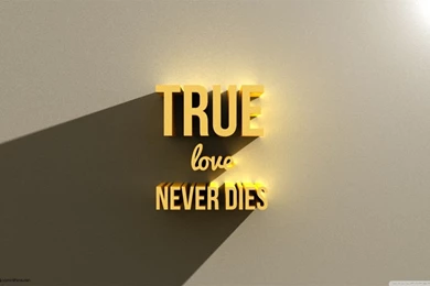 True Love Never Dies Nithinsuren HD Desktop Wallpapers : High ...