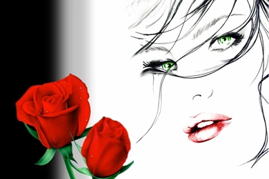 Wedding Flowers: Red Roses Wallpapers