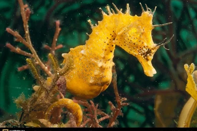 704_1024x768 wallpaper cb1267710841.jpg