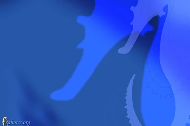 Seahorse.org   Downloads Library