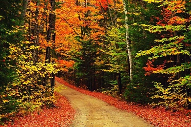 Wallpaper Backgrounds Desktop: Awesome Wallpaper Backgrounds For ...