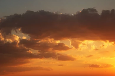 Nature Wallpapers, High Quality Images, Hd Desktop Images, Natural ...