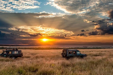 Sunset Safari Wallpapers   Nature Wallpapers