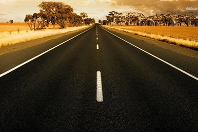 Safari Road Wallpapers   World Wallpapers