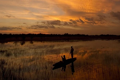 HD Botswana Safari Sunset Wallpapers   New Post Has Been Published ...