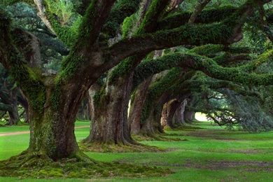 Beautiful nature scenery hd wallpapers.jpg