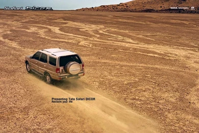 Safari Tata New Wallpapers   670454