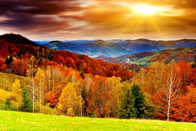 Scenery Wallpapers For Free   Top Wallpapers Desktop