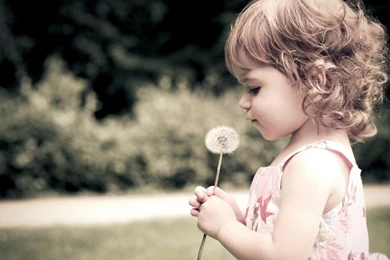 Nice Baby Girl Hd Images   Wallpaperss HD