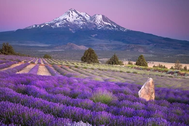 Beautiful Scenery Wallpapers HD Pictures