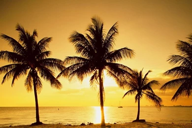 Scenic Photography Wallpapers ~ WallpapersHondaCBR