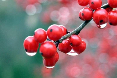 Amazing Mobile Android Wallpapers Hd