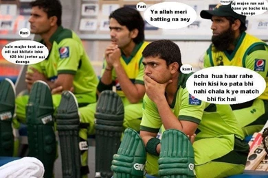 Funny Animal Picture Beautiful Animals: Funny Cricket Wallpapers ...