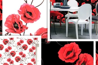 Wallpapers / The Wonder In Us   By Ellie Cashman Design