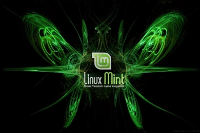 Linux Mint Fractal Butterfly By Carnivaleske On DeviantArt
